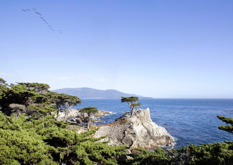 Tours Costa de California